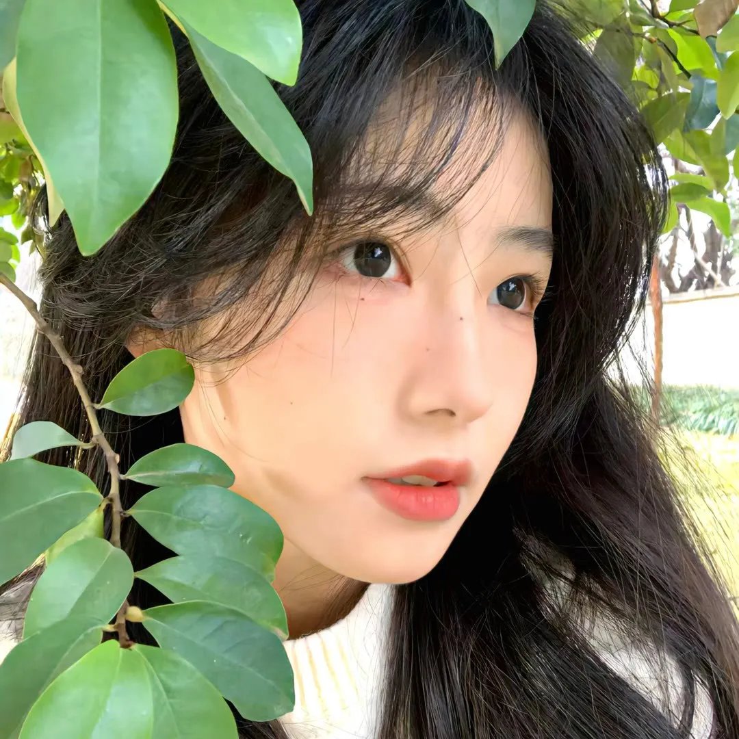 天若有情2