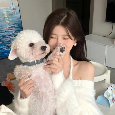 疯人计划